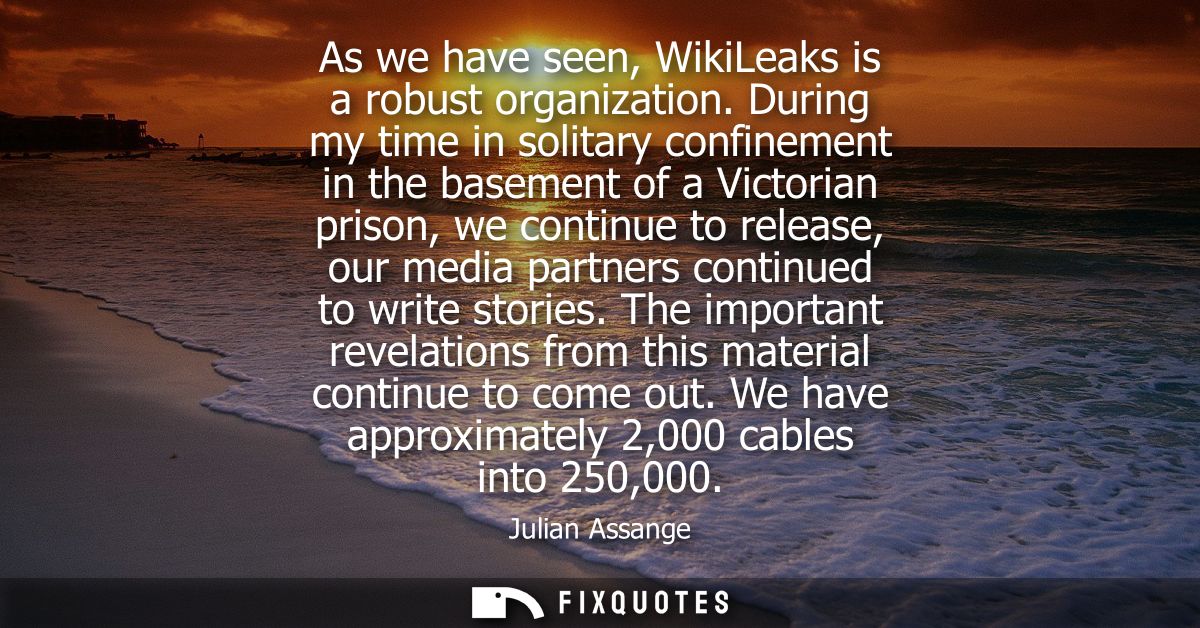 As we have seen, WikiLeaks is a robust organization. During my time in solitary confinement in the basement of a Victori