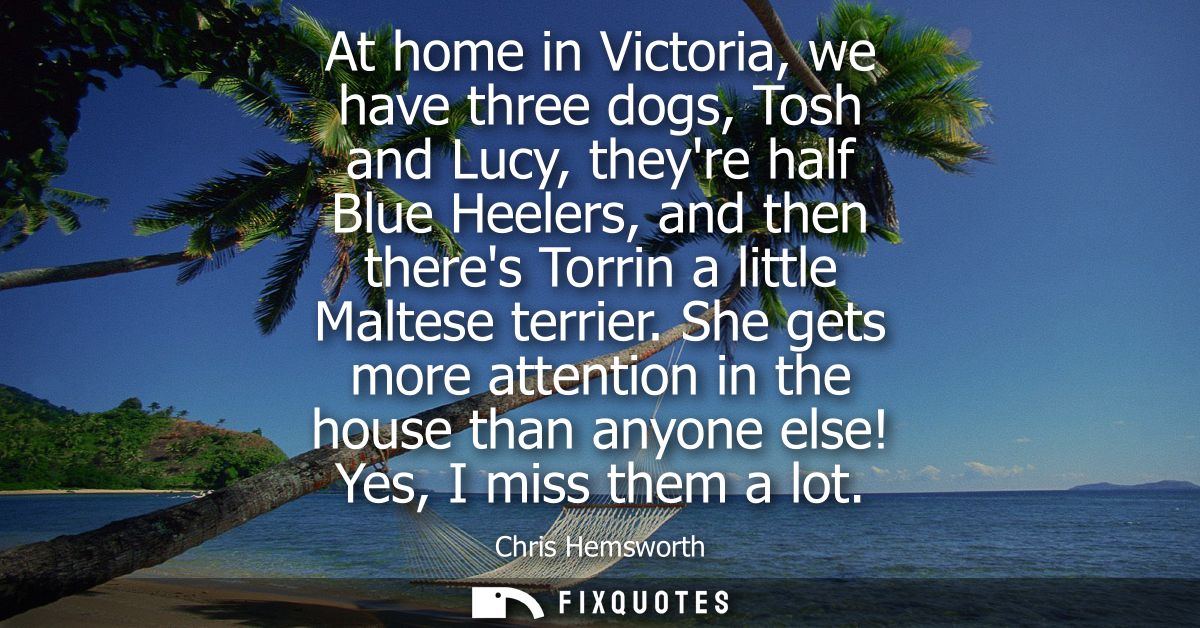 At home in Victoria, we have three dogs, Tosh and Lucy, theyre half Blue Heelers, and then theres Torrin a little Maltes