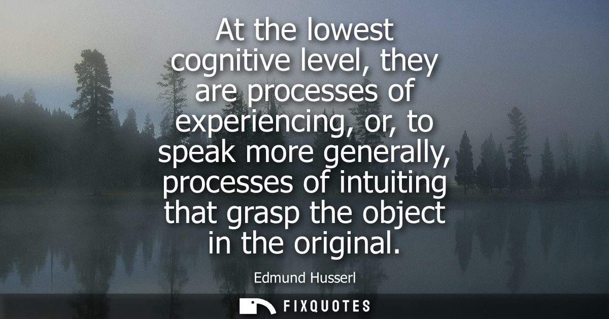 At the lowest cognitive level, they are processes of experiencing, or, to speak more generally, processes of intuiting t