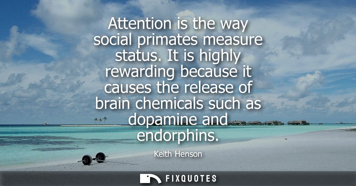 Attention is the way social primates measure status. It is highly rewarding because it causes the release of brain chemi