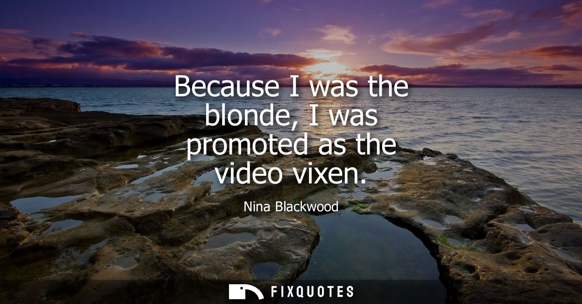 Because I was the blonde, I was promoted as the video vixen