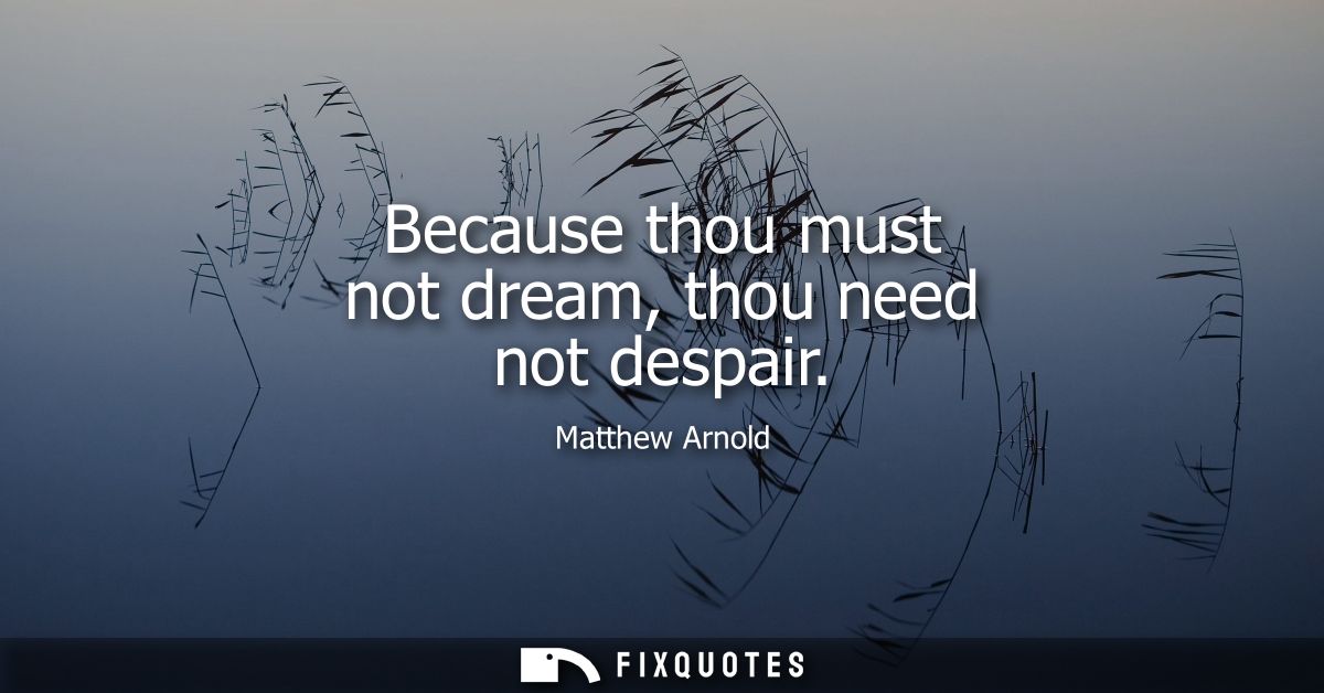Because thou must not dream, thou need not despair
