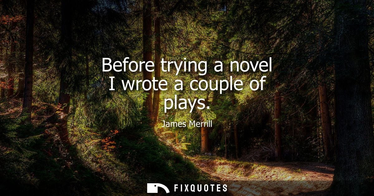 Before trying a novel I wrote a couple of plays - James Merrill