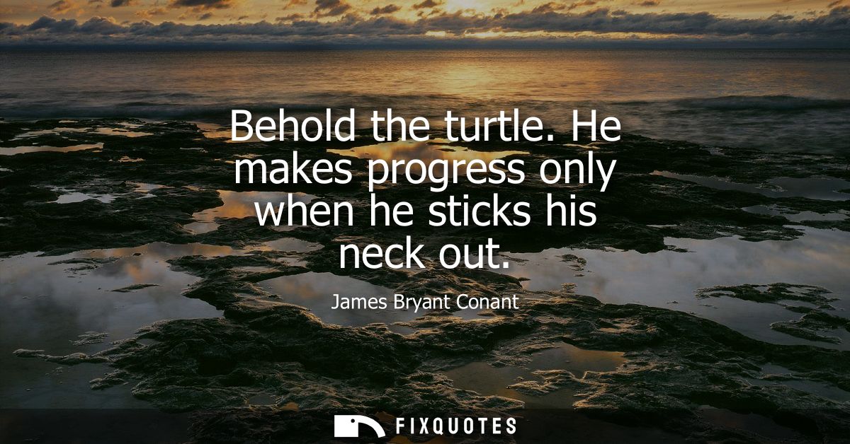 Behold the turtle. He makes progress only when he sticks his neck out