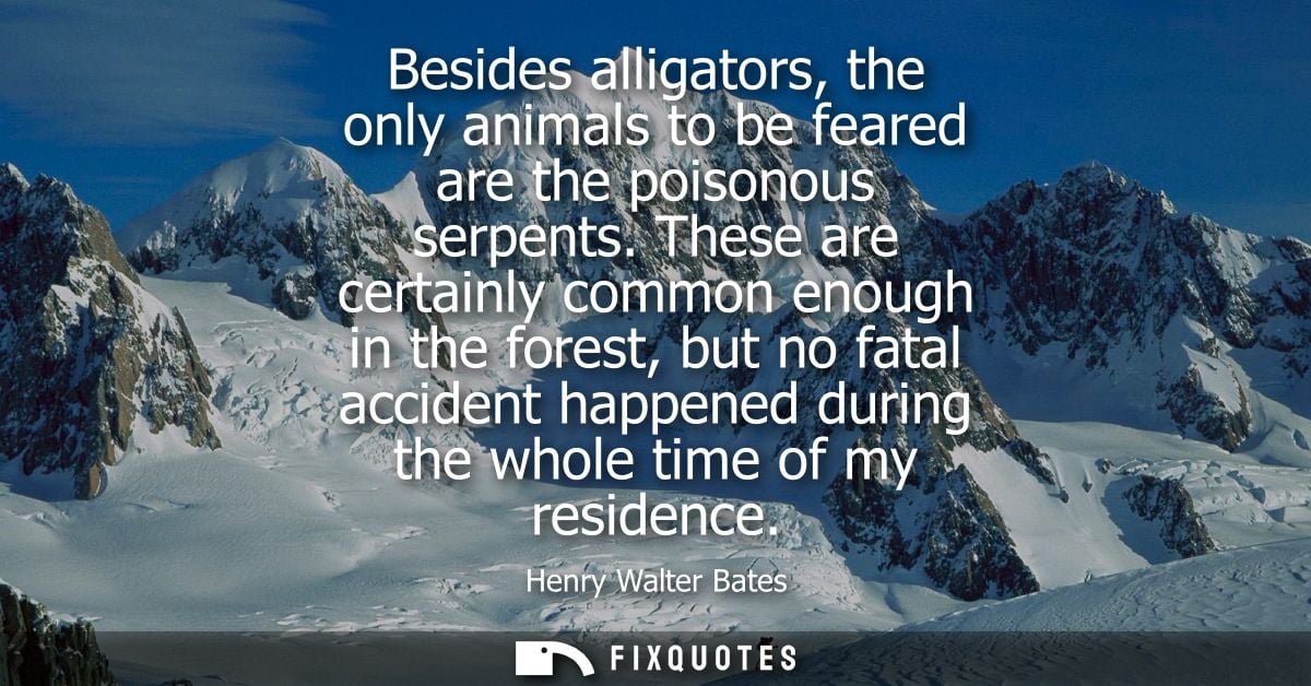 Besides alligators, the only animals to be feared are the poisonous serpents. These are certainly common enough in the f