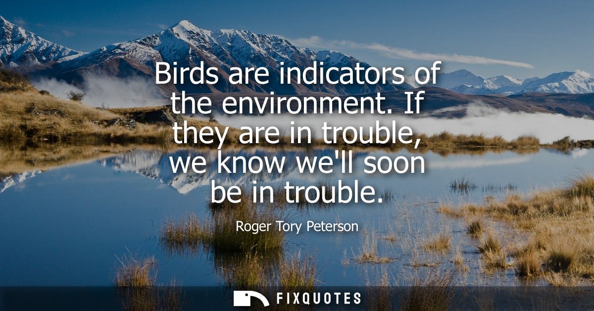 Birds are indicators of the environment. If they are in trouble, we know well soon be in trouble
