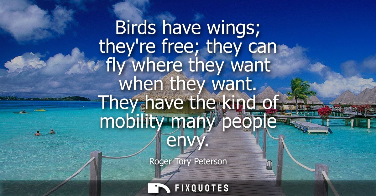 Birds have wings theyre free they can fly where they want when they want. They have the kind of mobility many people env