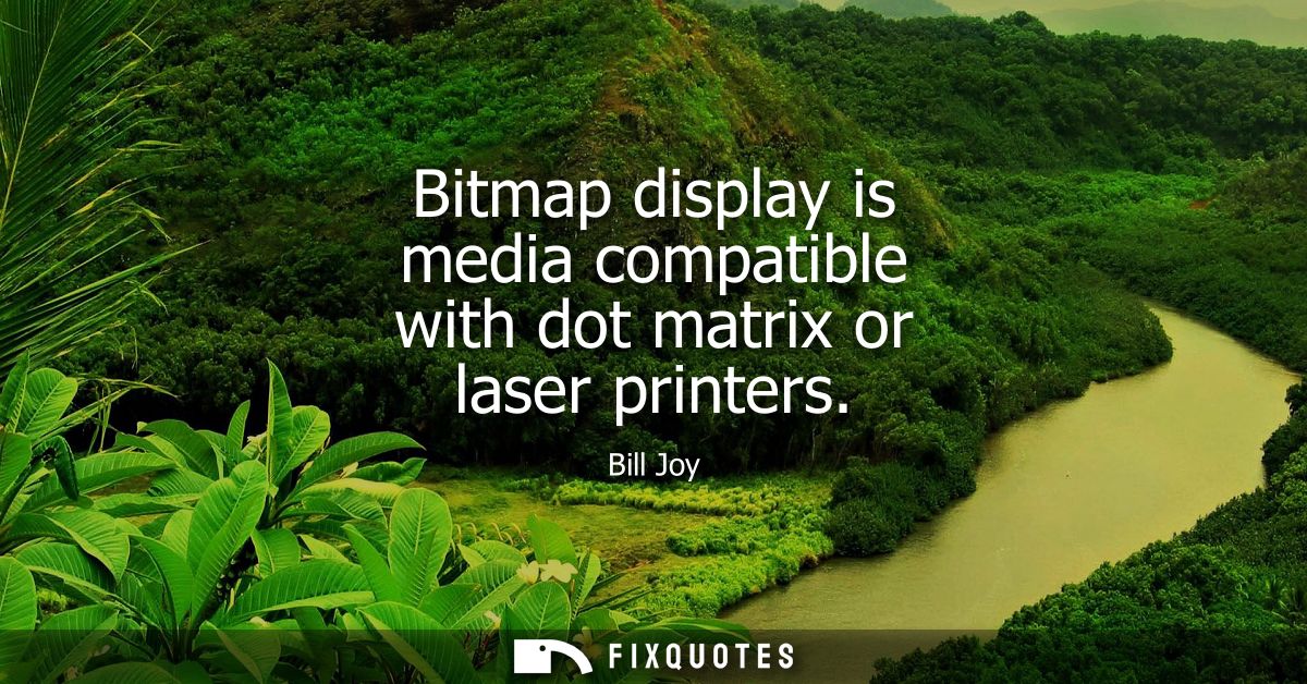 Bitmap display is media compatible with dot matrix or laser printers