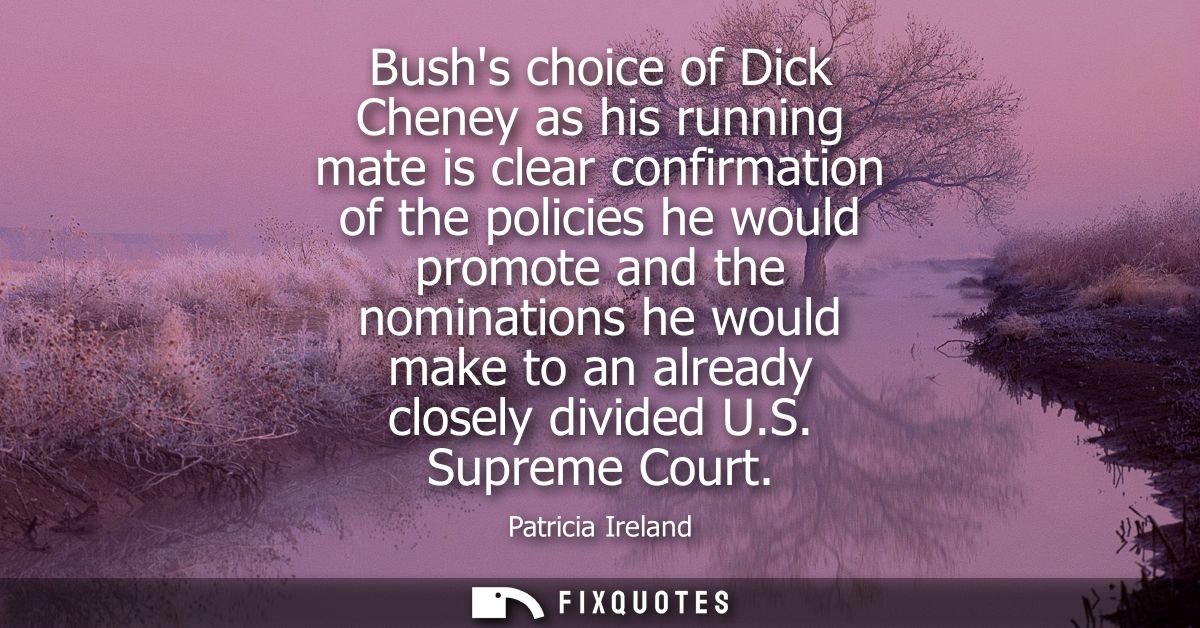 Bushs choice of Dick Cheney as his running mate is clear confirmation of the policies he would promote and the nominatio