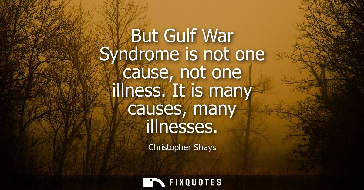 But Gulf War Syndrome is not one cause, not one illness. It is many causes, many illnesses