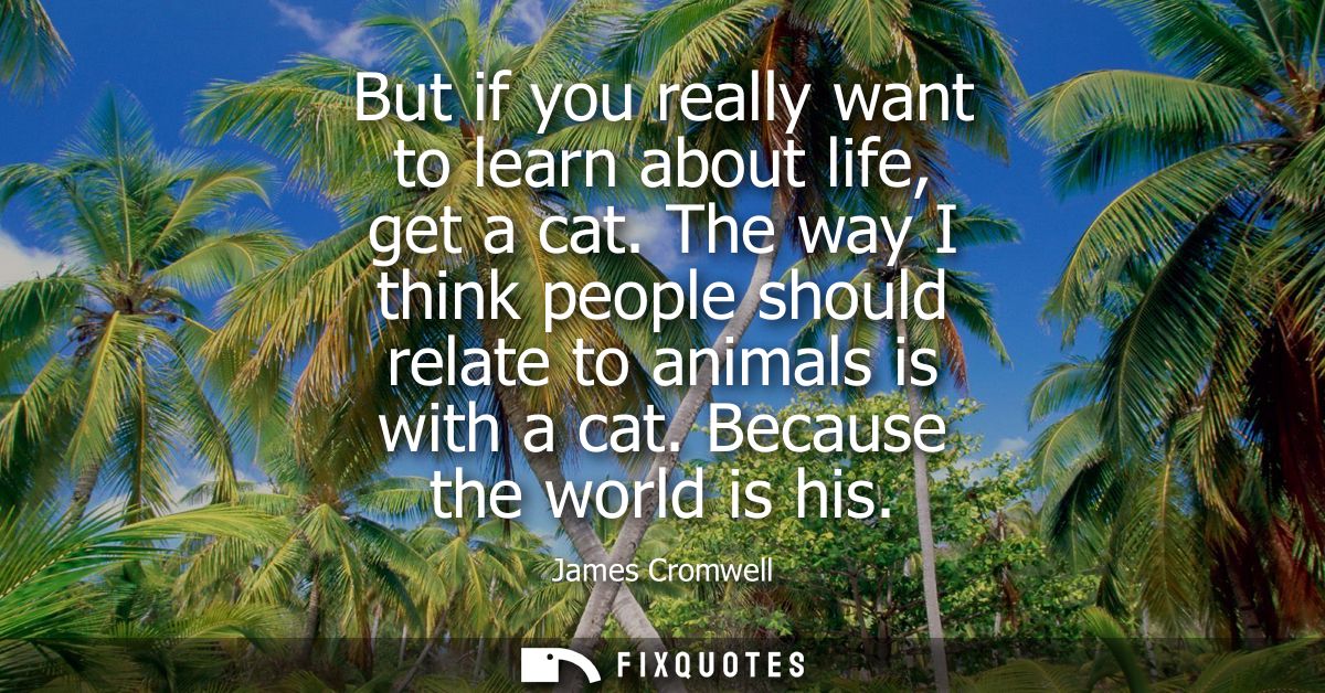 But if you really want to learn about life, get a cat. The way I think people should relate to animals is with a cat. Be