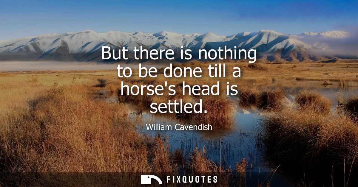 But there is nothing to be done till a horses head is settled