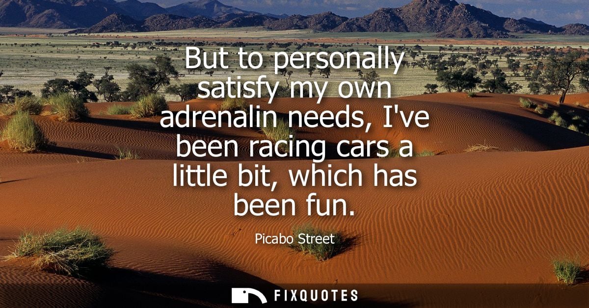 But to personally satisfy my own adrenalin needs, Ive been racing cars a little bit, which has been fun - Picabo Street