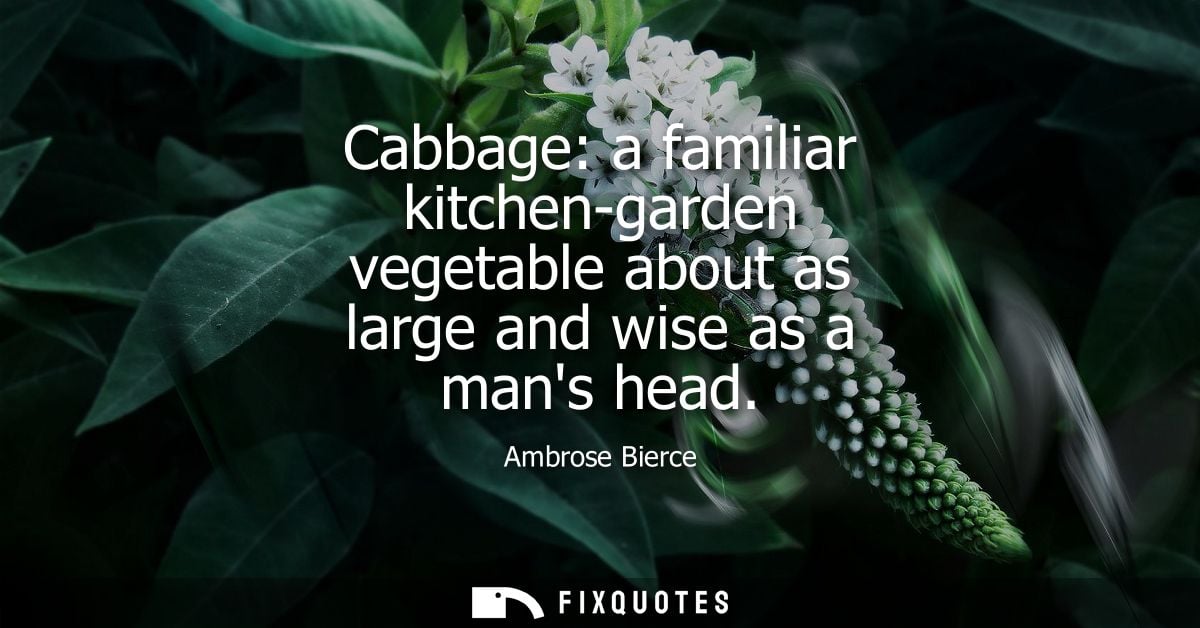 Cabbage: a familiar kitchen-garden vegetable about as large and wise as a mans head - Ambrose Bierce