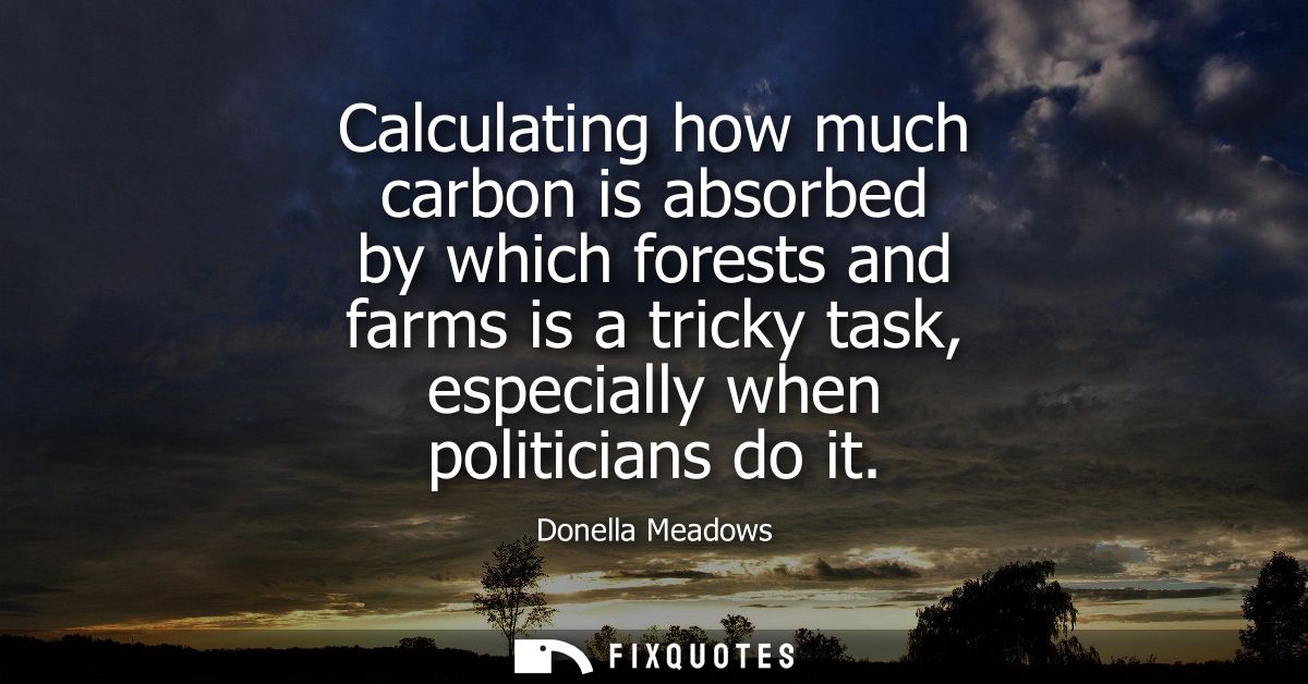 Calculating how much carbon is absorbed by which forests and farms is a tricky task, especially when politicians do it