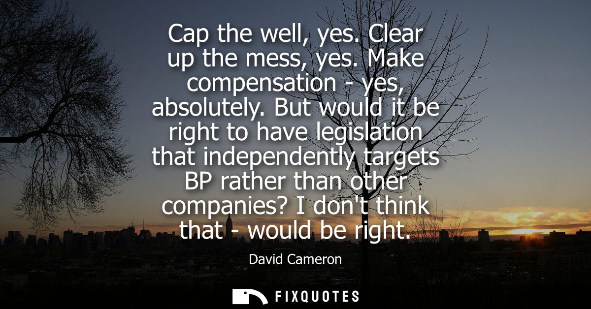 Cap the well, yes. Clear up the mess, yes. Make compensation - yes, absolutely. But would it be right to have legislatio