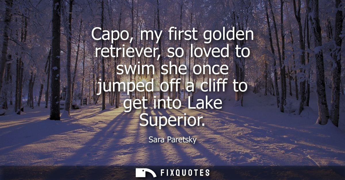 Capo, my first golden retriever, so loved to swim she once jumped off a cliff to get into Lake Superior