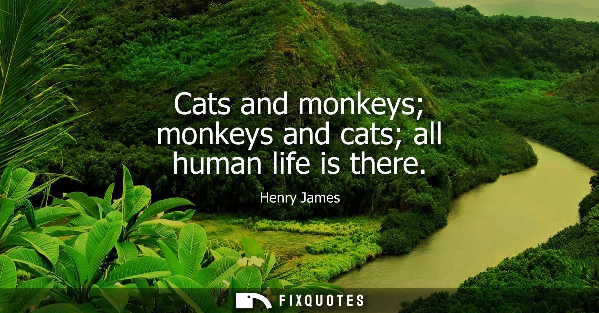 Cats and monkeys monkeys and cats all human life is there
