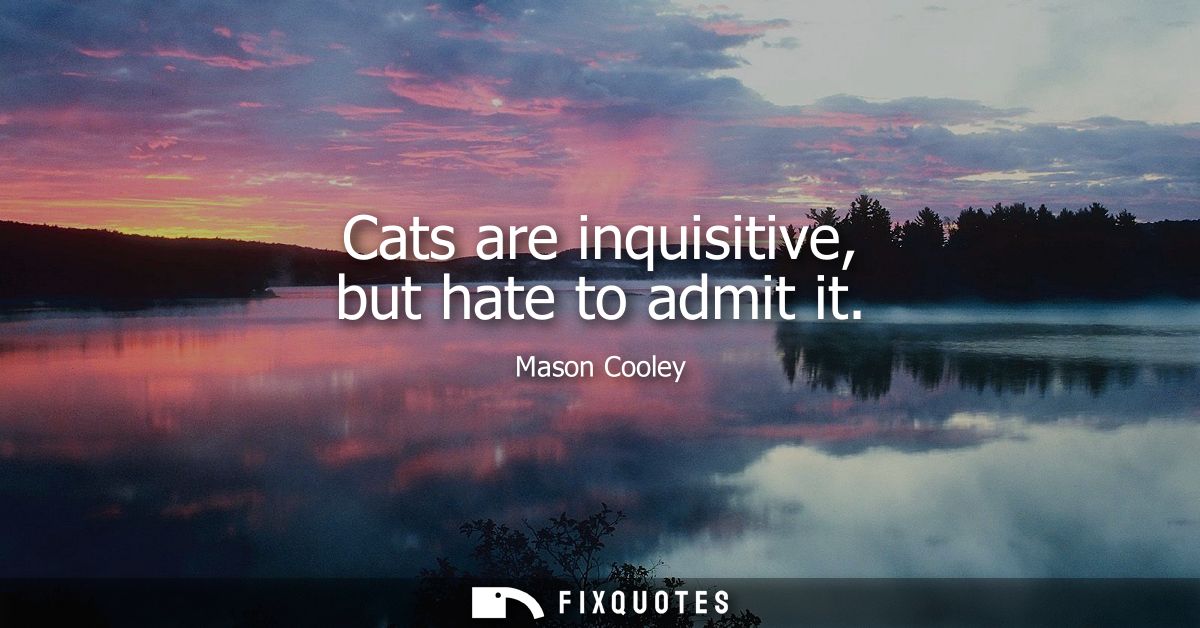 Cats are inquisitive, but hate to admit it