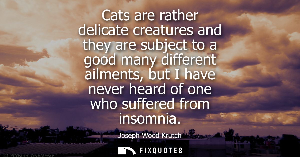 Cats are rather delicate creatures and they are subject to a good many different ailments, but I have never heard of one