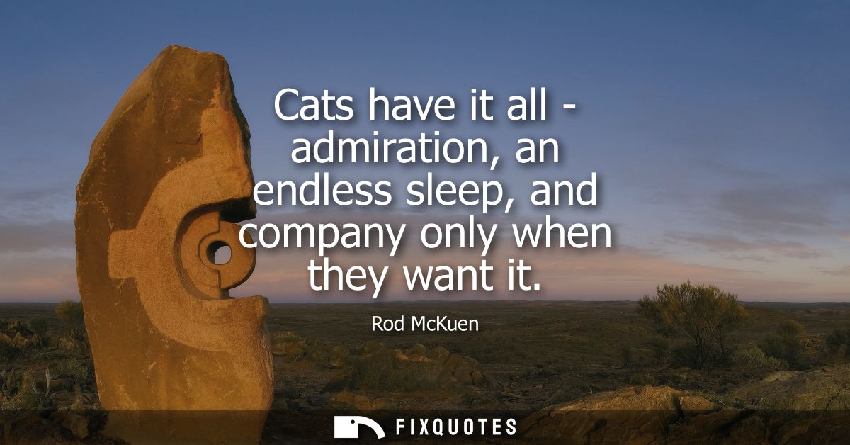 Cats have it all - admiration, an endless sleep, and company only when they want it