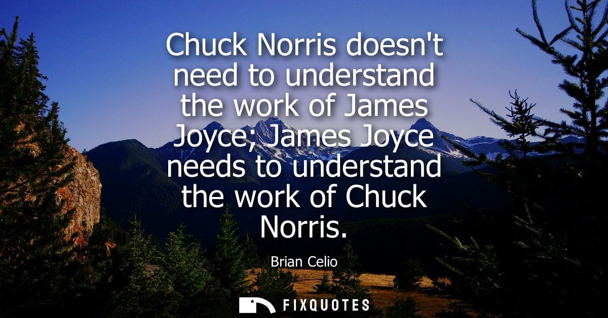 Chuck Norris doesnt need to understand the work of James Joyce James Joyce needs to understand the work of Chuck Norris