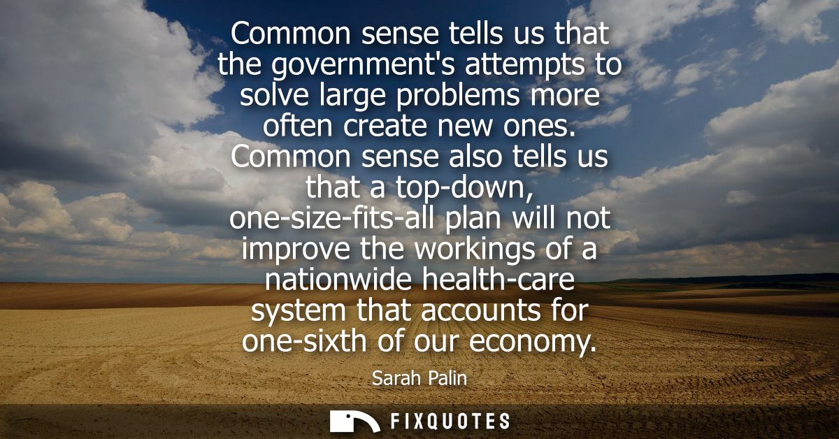 Common sense tells us that the governments attempts to solve large problems more often create new ones.