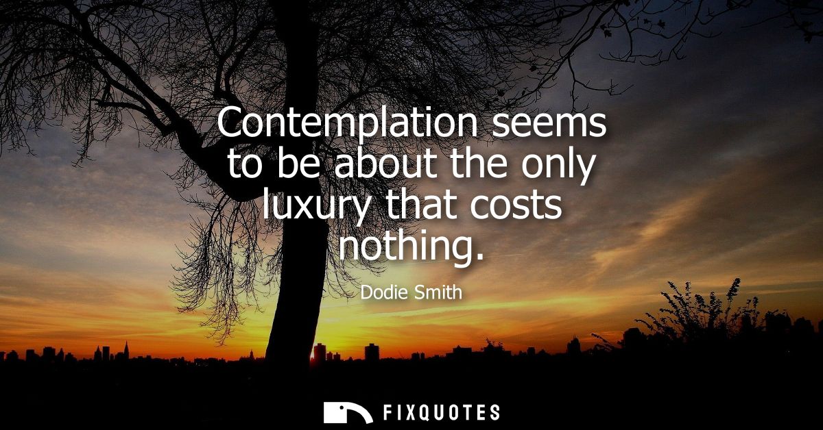 Contemplation seems to be about the only luxury that costs nothing