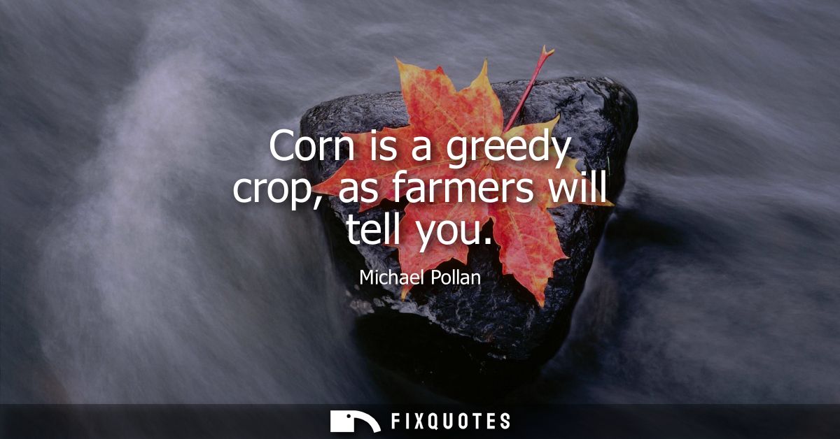 Corn is a greedy crop, as farmers will tell you