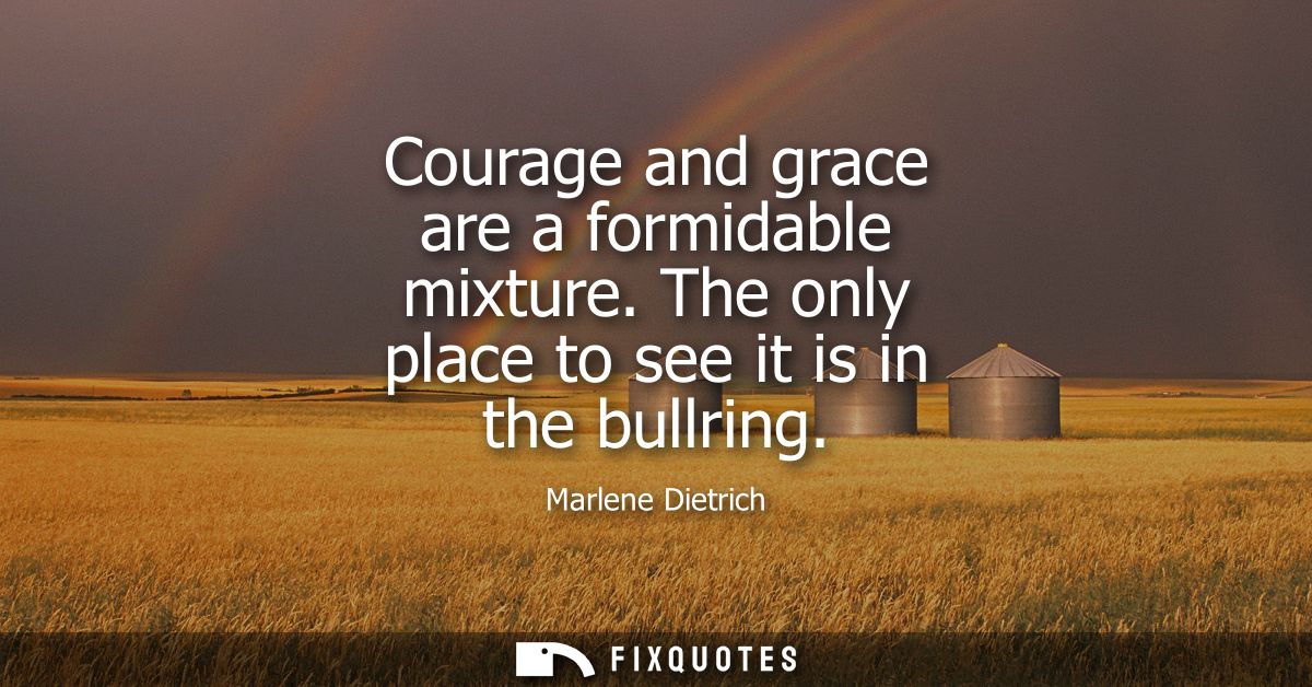 Courage and grace are a formidable mixture. The only place to see it is in the bullring