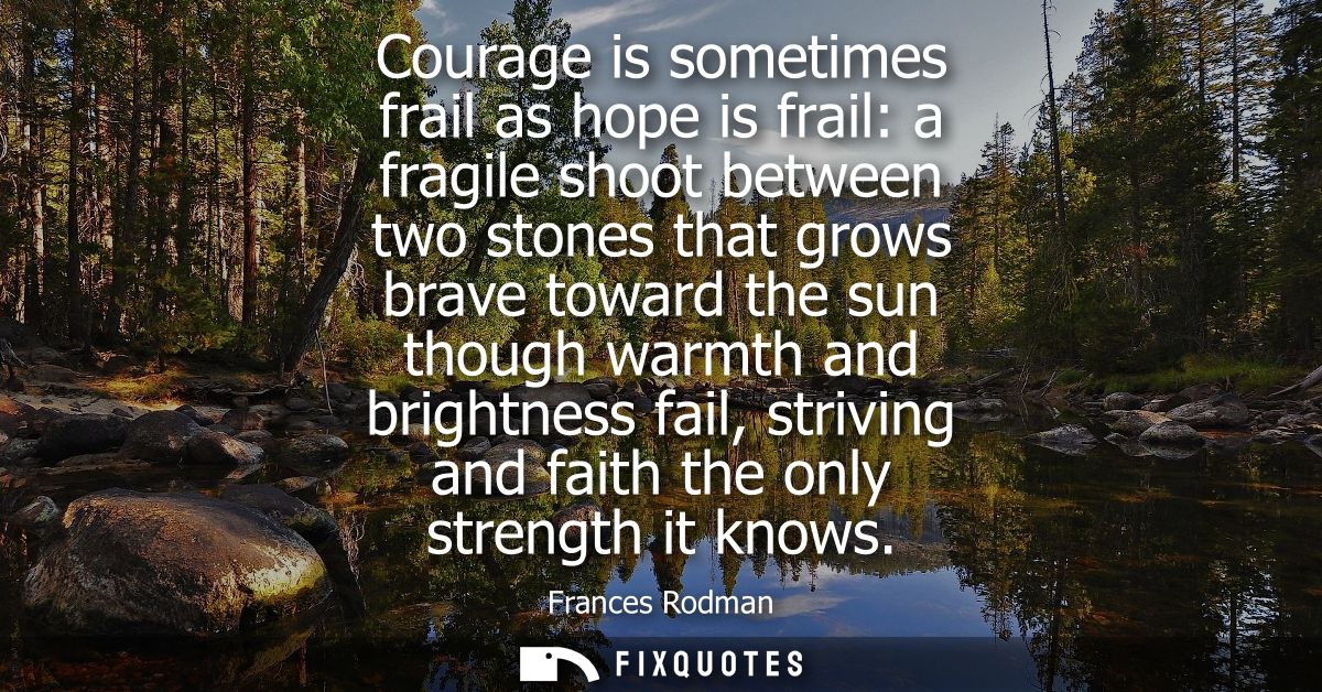 Courage is sometimes frail as hope is frail: a fragile shoot between two stones that grows brave toward the sun though w