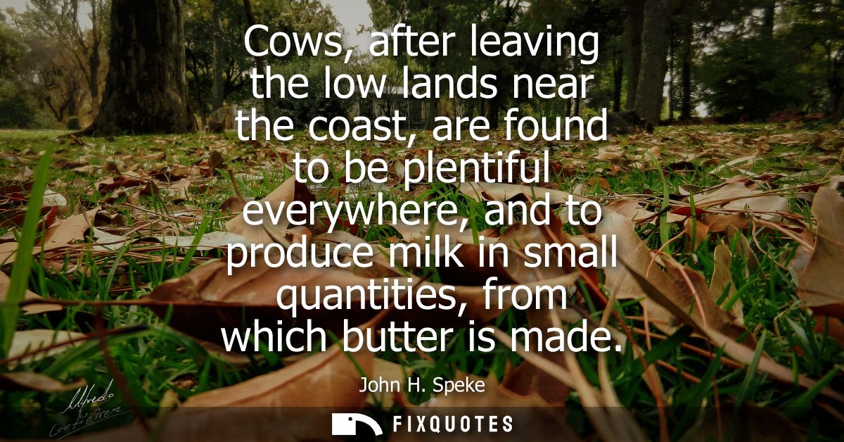 Cows, after leaving the low lands near the coast, are found to be plentiful everywhere, and to produce milk in small qua