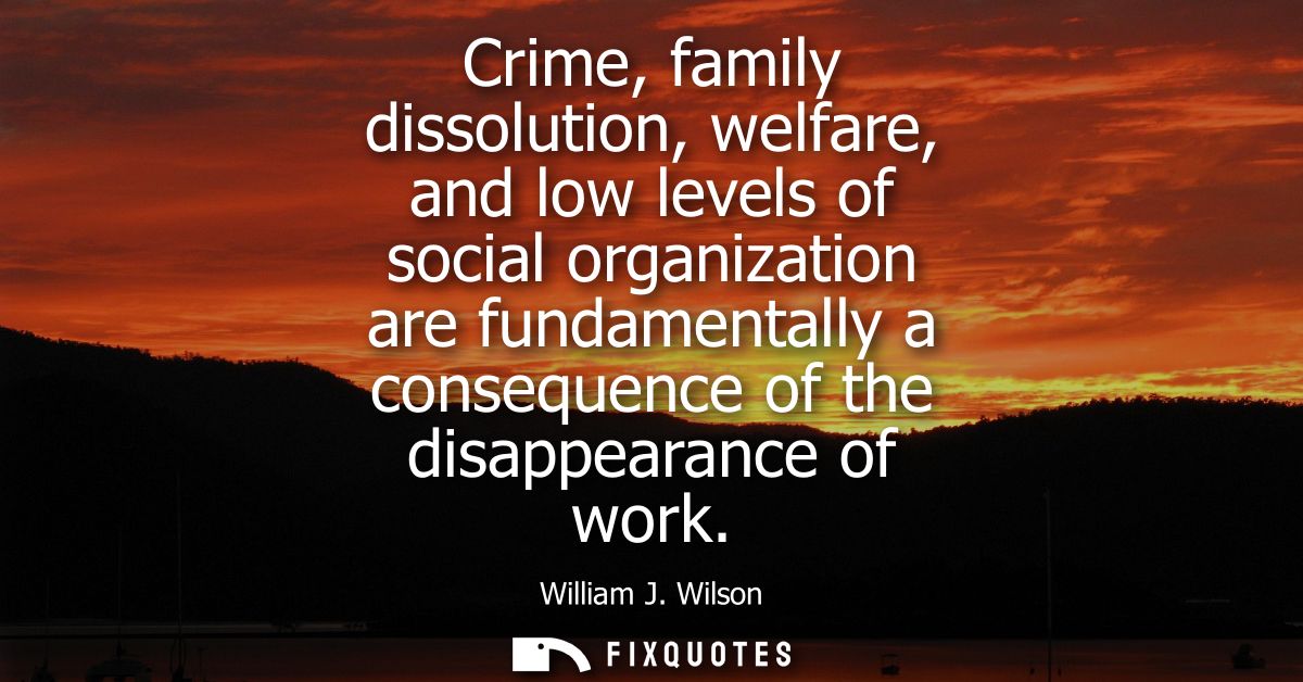 Crime, family dissolution, welfare, and low levels of social organization are fundamentally a consequence of the disappe