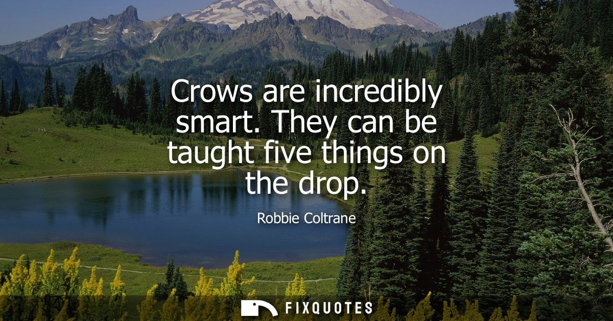 Crows are incredibly smart. They can be taught five things on the drop