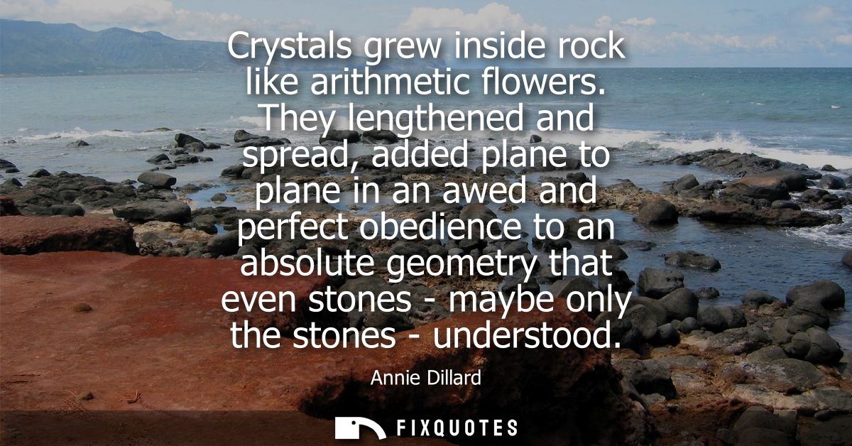 Crystals grew inside rock like arithmetic flowers. They lengthened and spread, added plane to plane in an awed and perfe