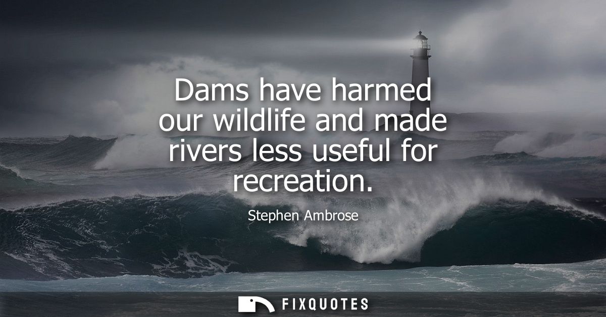 Dams have harmed our wildlife and made rivers less useful for recreation