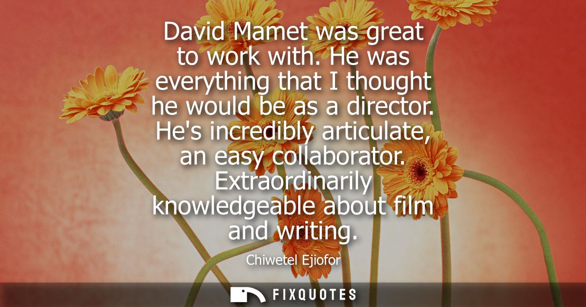David Mamet was great to work with. He was everything that I thought he would be as a director. Hes incredibly articulat