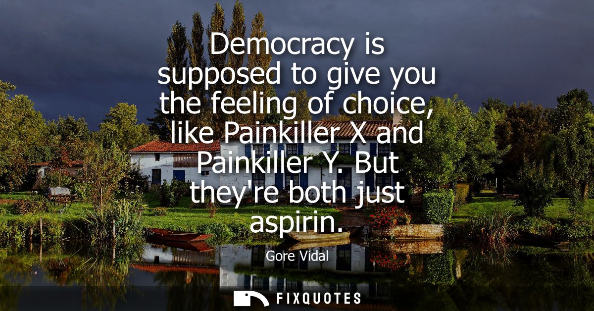 Democracy is supposed to give you the feeling of choice, like Painkiller X and Painkiller Y. But theyre both just aspiri