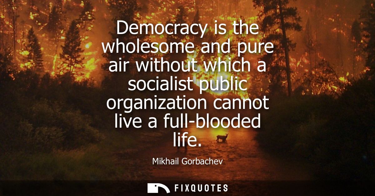 Democracy is the wholesome and pure air without which a socialist public organization cannot live a full-blooded life