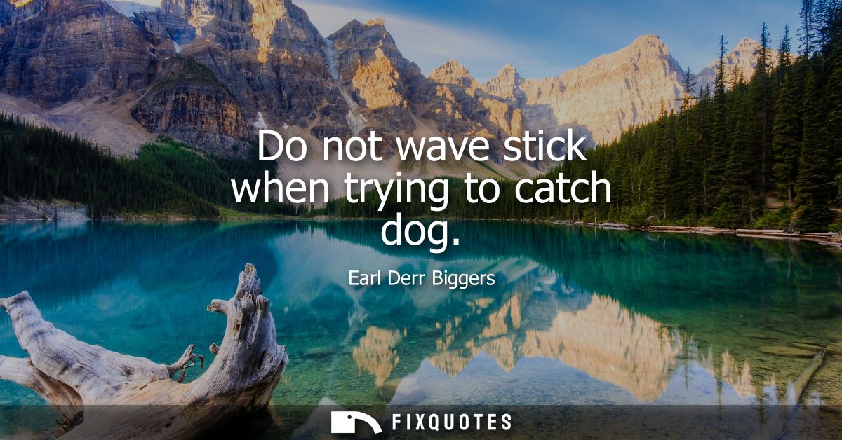 Do not wave stick when trying to catch dog