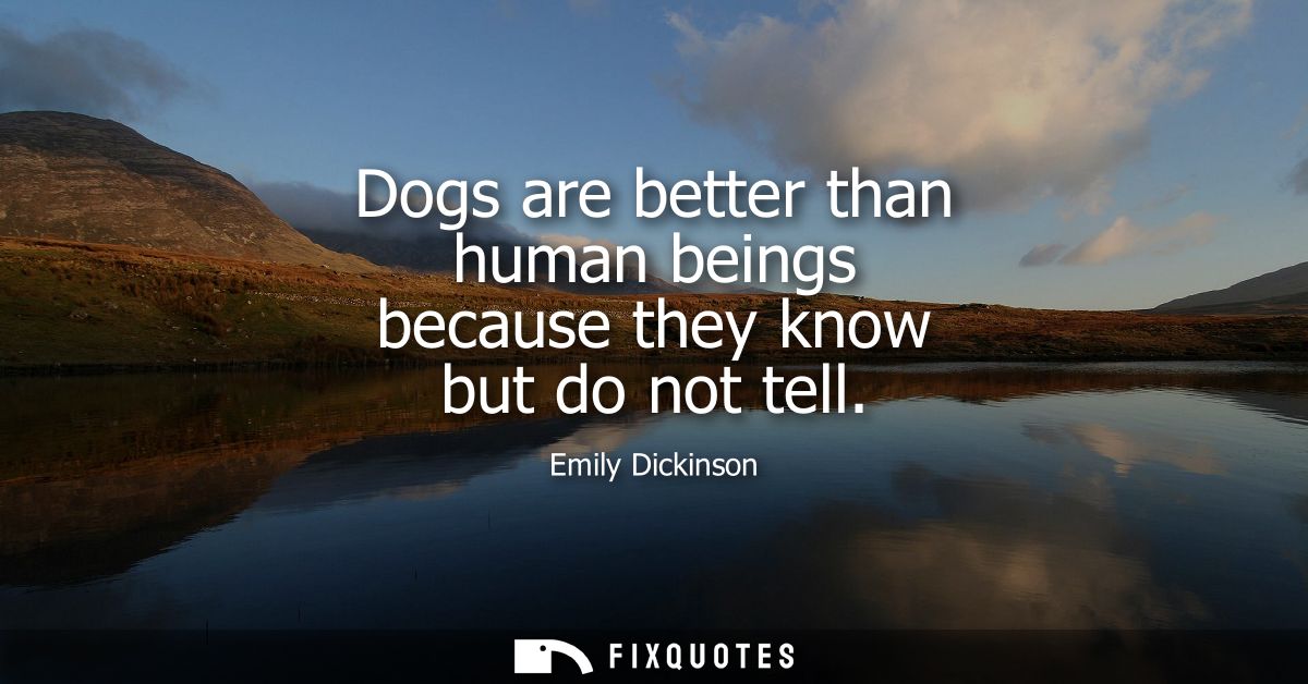 Dogs are better than human beings because they know but do not tell