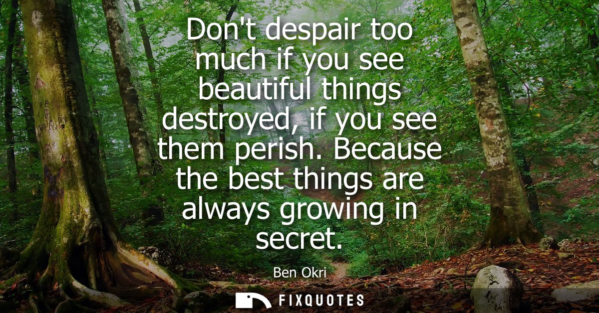Dont despair too much if you see beautiful things destroyed, if you see them perish. Because the best things are always 
