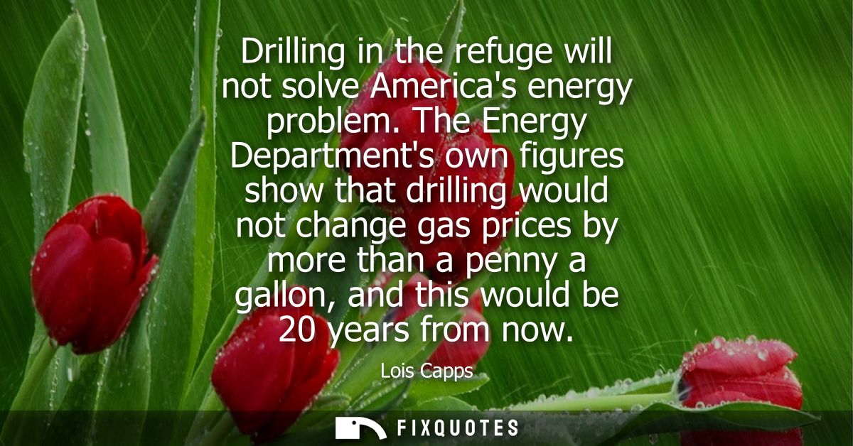 Drilling in the refuge will not solve Americas energy problem. The Energy Departments own figures show that drilling wou