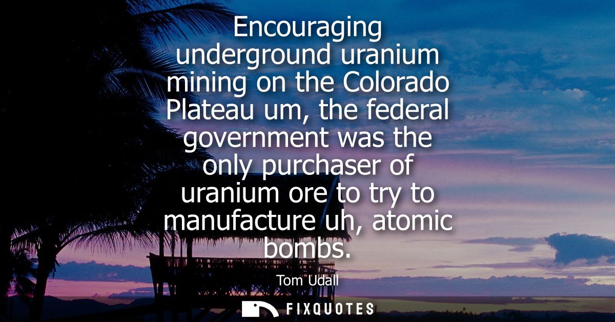 Encouraging underground uranium mining on the Colorado Plateau um, the federal government was the only purchaser of uran