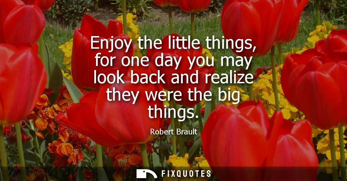 Enjoy the little things, for one day you may look back and realize they were the big things - Robert Brault