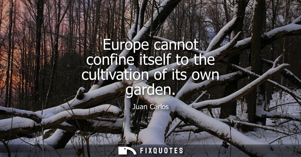 Europe cannot confine itself to the cultivation of its own garden