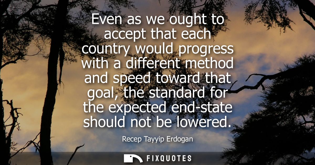 Even as we ought to accept that each country would progress with a different method and speed toward that goal, the stan