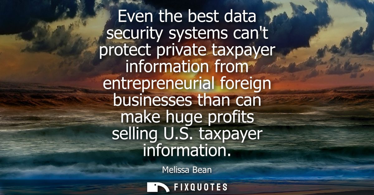 Even the best data security systems cant protect private taxpayer information from entrepreneurial foreign businesses th