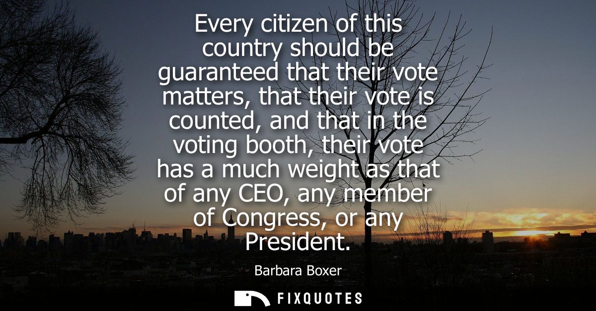 Every citizen of this country should be guaranteed that their vote matters, that their vote is counted, and that in the 