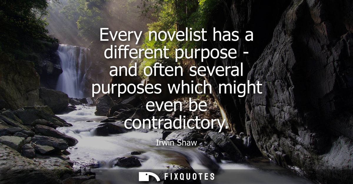 Every novelist has a different purpose - and often several purposes which might even be contradictory